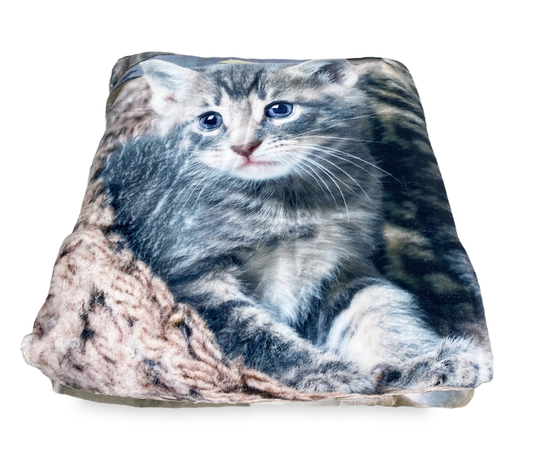 Gattino sotto una coperta il gatto riposa al caldo sotto il plaid  generative ai