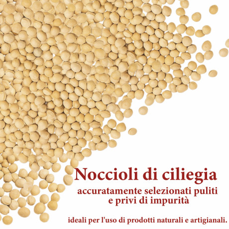 Sacchetto trasparente da 500g di noccioli di ciliegia - Uso artigianale